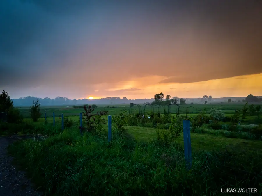 Sunset over a field at blue hour