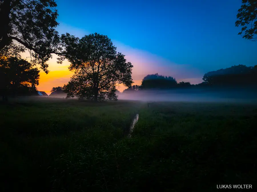 Misty field at dawn