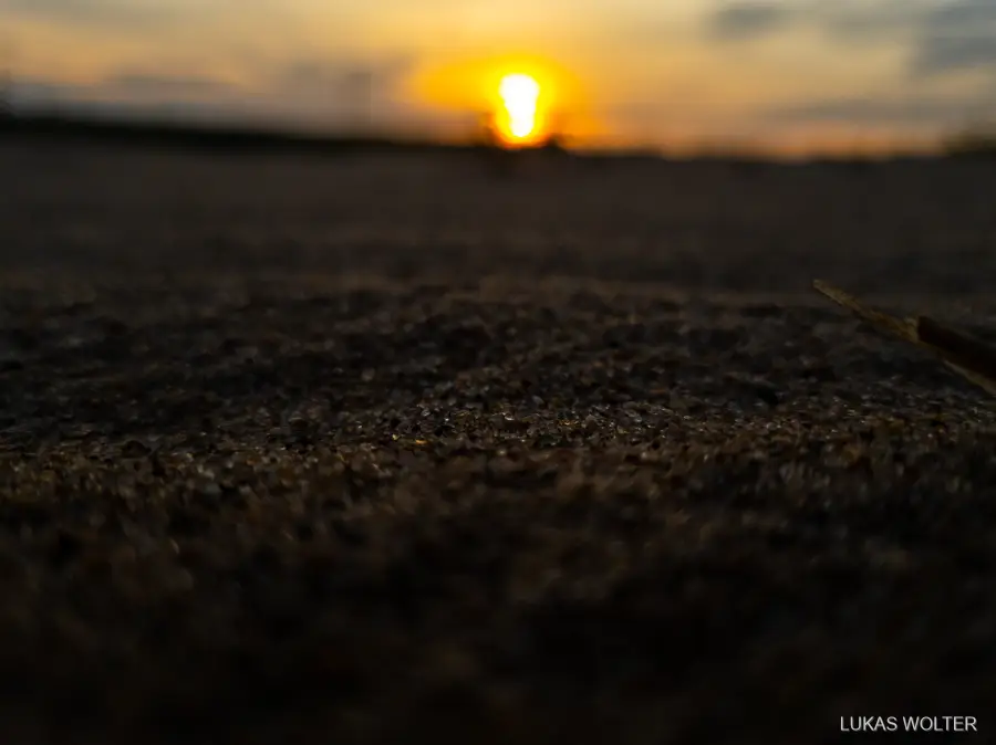 Sunrise over sandy ground